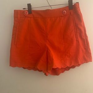Anthropologie high waisted shorts 8